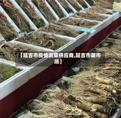 【延吉市疫情蔬菜供应商,延吉市菜市场】-第1张图片