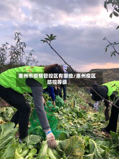 惠州市疫情管控区有哪些/惠州疫区防控等级-第1张图片