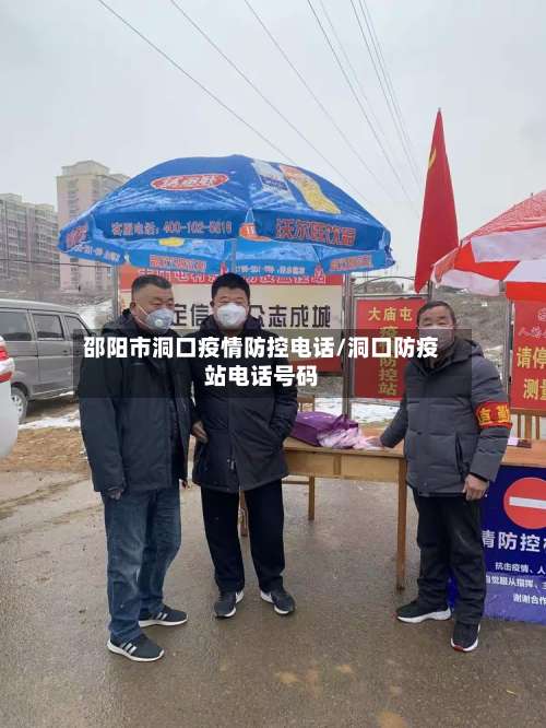 邵阳市洞口疫情防控电话/洞口防疫站电话号码-第1张图片