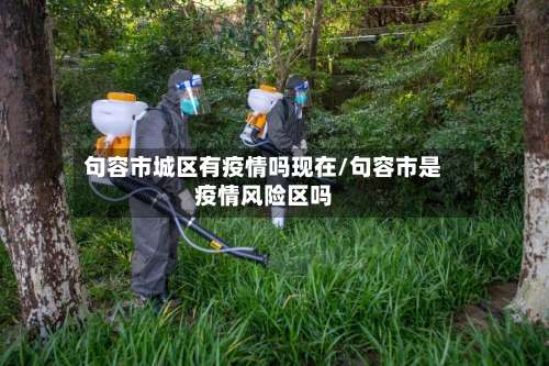 句容市城区有疫情吗现在/句容市是疫情风险区吗-第3张图片