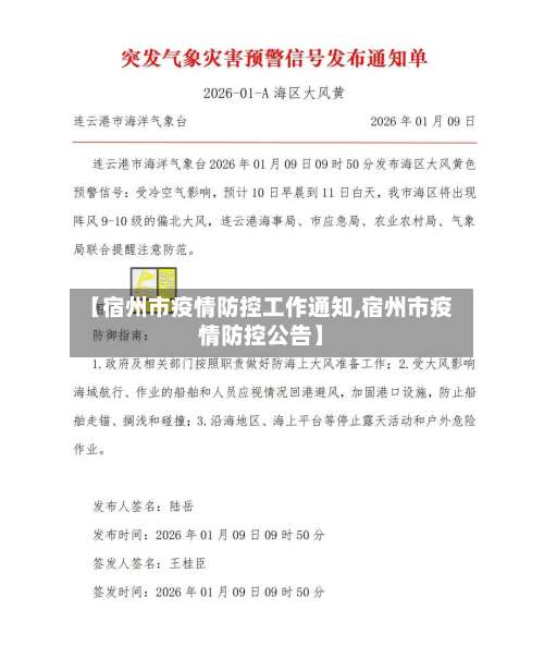 【宿州市疫情防控工作通知,宿州市疫情防控公告】-第1张图片