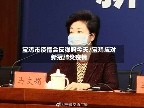 宝鸡市疫情会反弹吗今天/宝鸡应对新冠肺炎疫情-第2张图片