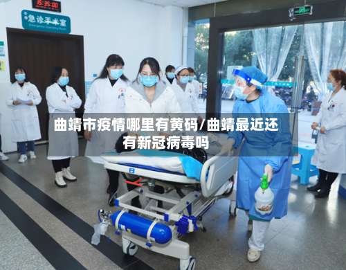 曲靖市疫情哪里有黄码/曲靖最近还有新冠病毒吗-第2张图片