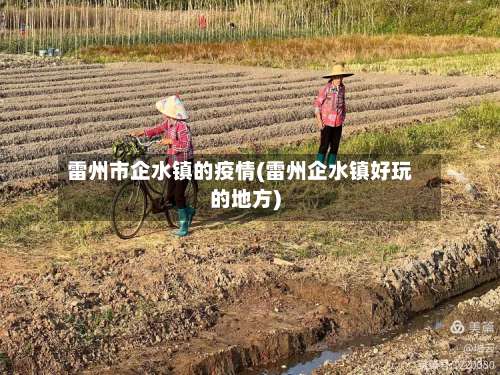 雷州市企水镇的疫情(雷州企水镇好玩的地方)-第1张图片