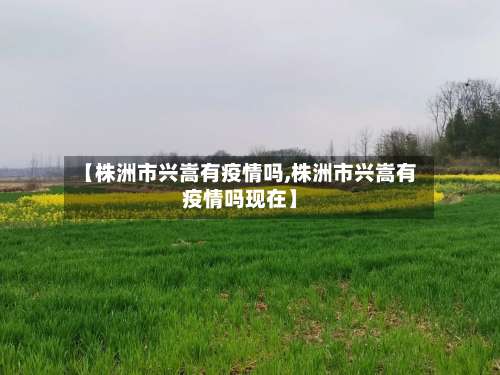【株洲市兴嵩有疫情吗,株洲市兴嵩有疫情吗现在】-第1张图片