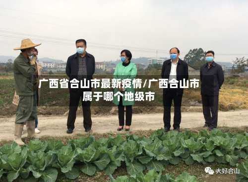 广西省合山市最新疫情/广西合山市属于哪个地级市-第1张图片