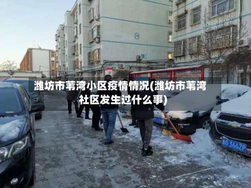 潍坊市苇湾小区疫情情况(潍坊市苇湾社区发生过什么事)-第2张图片
