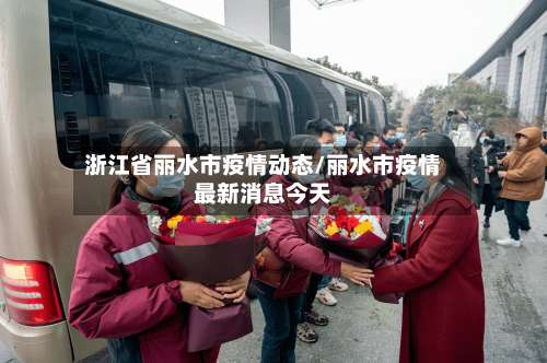 浙江省丽水市疫情动态/丽水市疫情最新消息今天-第2张图片