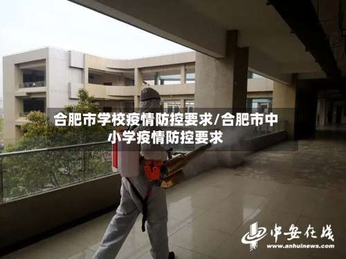 合肥市学校疫情防控要求/合肥市中小学疫情防控要求-第1张图片