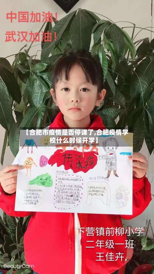 【合肥市疫情是否停课了,合肥疫情学校什么时候开学】-第1张图片