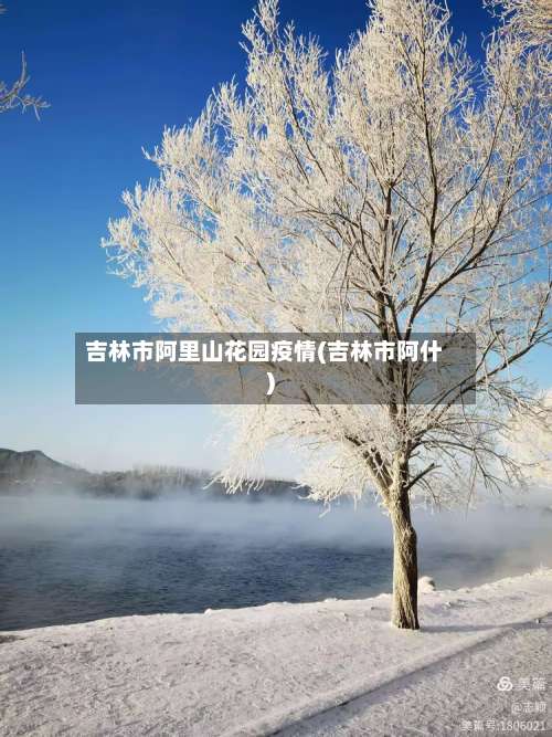 吉林市阿里山花园疫情(吉林市阿什)-第1张图片