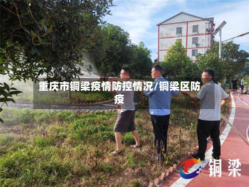 重庆市铜梁疫情防控情况/铜梁区防疫-第2张图片