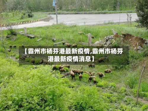【霸州市杨芬港最新疫情,霸州市杨芬港最新疫情消息】-第1张图片