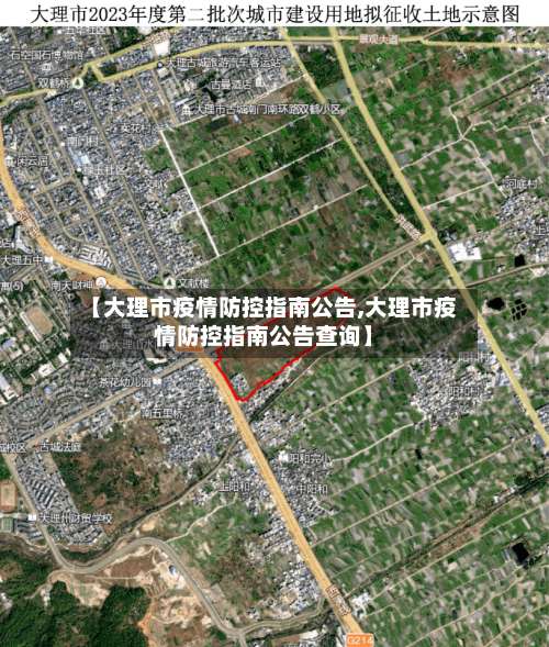 【大理市疫情防控指南公告,大理市疫情防控指南公告查询】-第2张图片