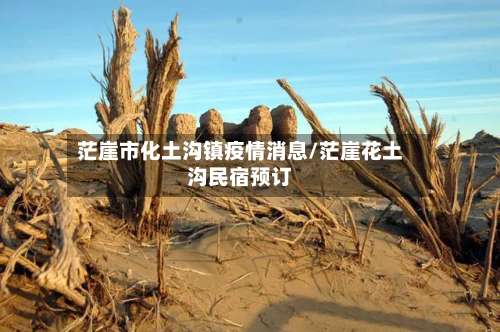 茫崖市化土沟镇疫情消息/茫崖花土沟民宿预订-第2张图片