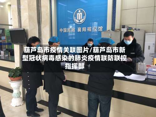 葫芦岛市疫情关联图片/葫芦岛市新型冠状病毒感染的肺炎疫情联防联控指挥部-第1张图片