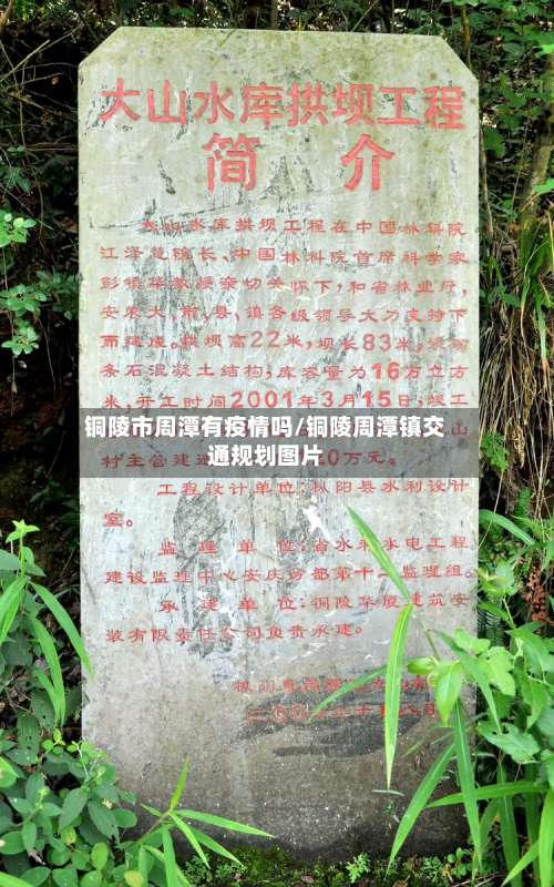 铜陵市周潭有疫情吗/铜陵周潭镇交通规划图片-第1张图片