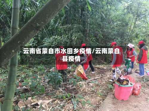 云南省蒙自市水田乡疫情/云南蒙自县疫情-第1张图片