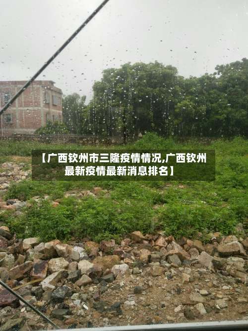 【广西钦州市三隆疫情情况,广西钦州最新疫情最新消息排名】-第2张图片