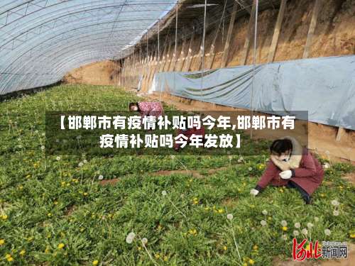 【邯郸市有疫情补贴吗今年,邯郸市有疫情补贴吗今年发放】-第2张图片