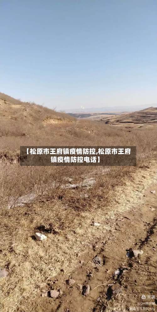 【松原市王府镇疫情防控,松原市王府镇疫情防控电话】-第1张图片
