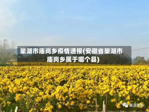 巢湖市庙岗乡疫情通报(安徽省巢湖市庙岗乡属于哪个县)-第1张图片
