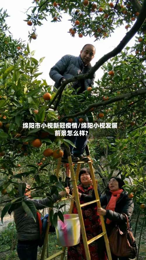 绵阳市小枧新冠疫情/绵阳小枧发展前景怎么样?-第1张图片