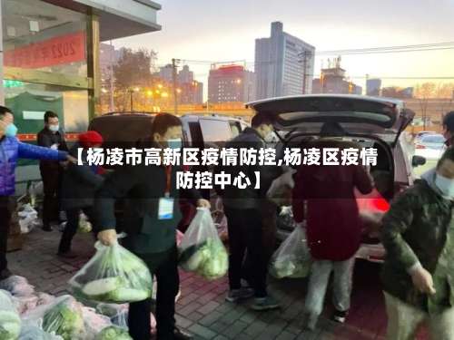 【杨凌市高新区疫情防控,杨凌区疫情防控中心】-第1张图片