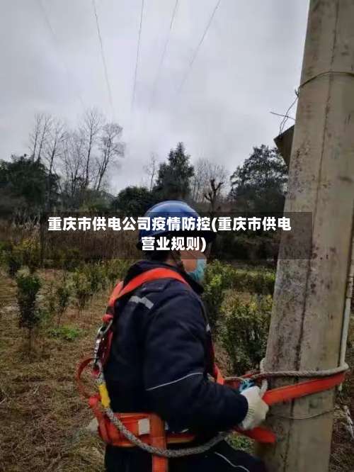 重庆市供电公司疫情防控(重庆市供电营业规则)-第1张图片