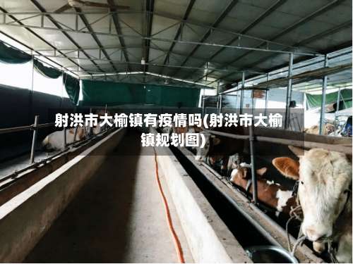 射洪市大榆镇有疫情吗(射洪市大榆镇规划图)-第1张图片