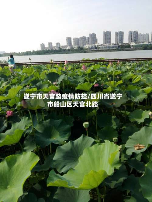 遂宁市天宫路疫情防控/四川省遂宁市船山区天宫北路-第1张图片