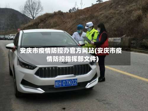 安庆市疫情防控办官方网站(安庆市疫情防控指挥部文件)-第1张图片