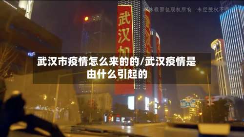 武汉市疫情怎么来的的/武汉疫情是由什么引起的-第1张图片