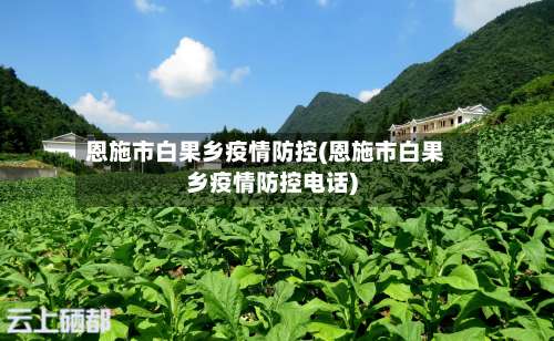 恩施市白果乡疫情防控(恩施市白果乡疫情防控电话)-第3张图片