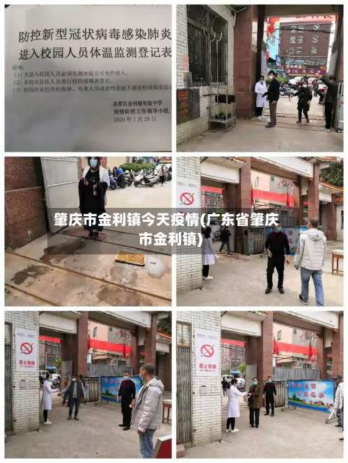 肇庆市金利镇今天疫情(广东省肇庆市金利镇)-第3张图片