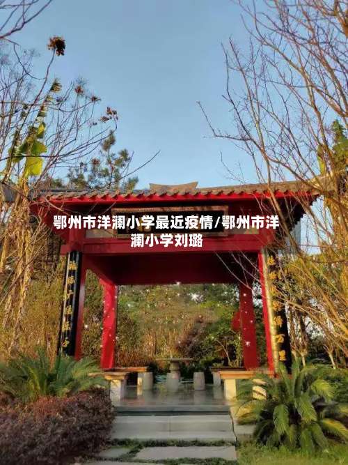 鄂州市洋澜小学最近疫情/鄂州市洋澜小学刘璐-第1张图片