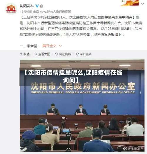 【沈阳市疫情挂星呢么,沈阳疫情在线询问】-第1张图片