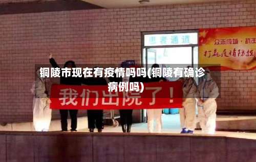 铜陵市现在有疫情吗吗(铜陵有确诊病例吗)-第1张图片
