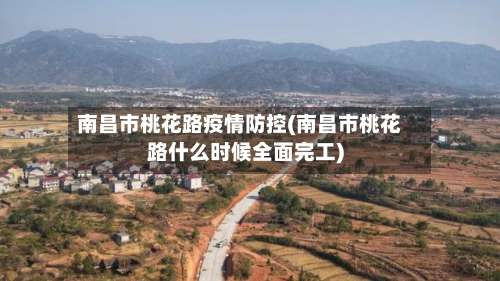 南昌市桃花路疫情防控(南昌市桃花路什么时候全面完工)-第1张图片
