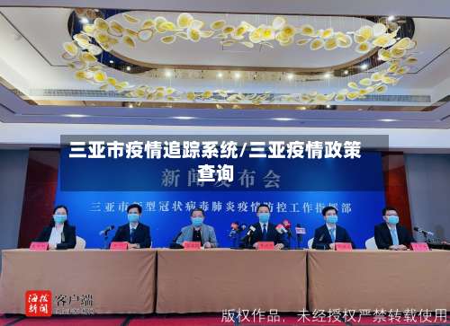三亚市疫情追踪系统/三亚疫情政策查询-第3张图片
