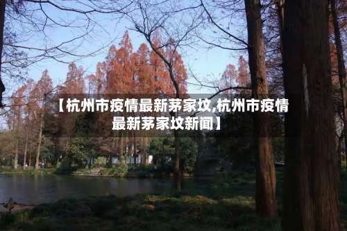 【杭州市疫情最新茅家坟,杭州市疫情最新茅家坟新闻】-第1张图片