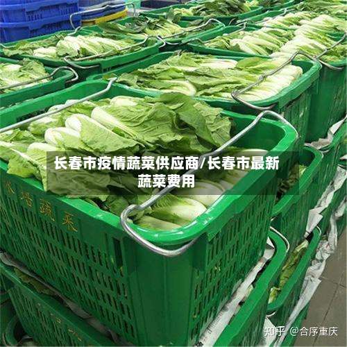 长春市疫情蔬菜供应商/长春市最新蔬菜费用-第1张图片